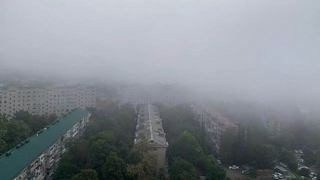 Водителей Краснодара предупреждают: ночью и утром может быть туманно