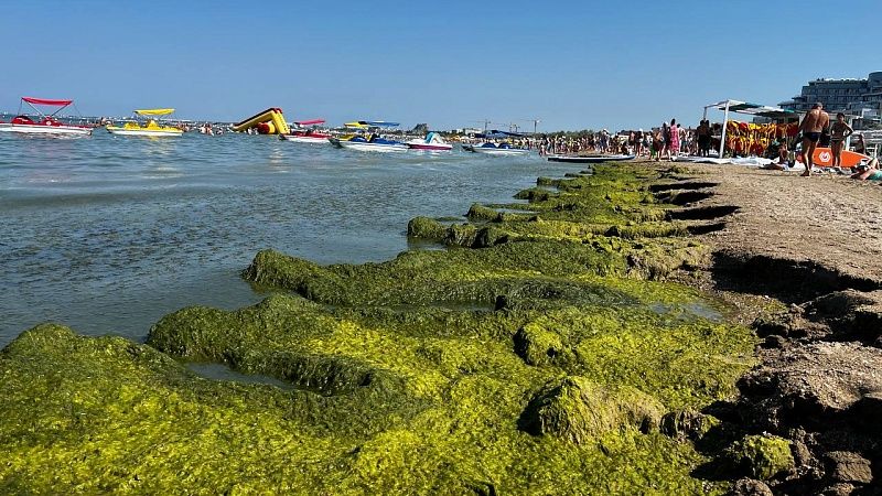 Власти Анапы назвали «позеленевшее» море нормальным явлением