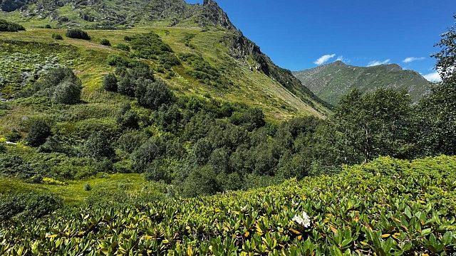 Фото: t.me/kavkazzapoved