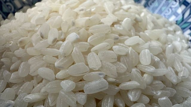 Фото: телеканал «Краснодар»