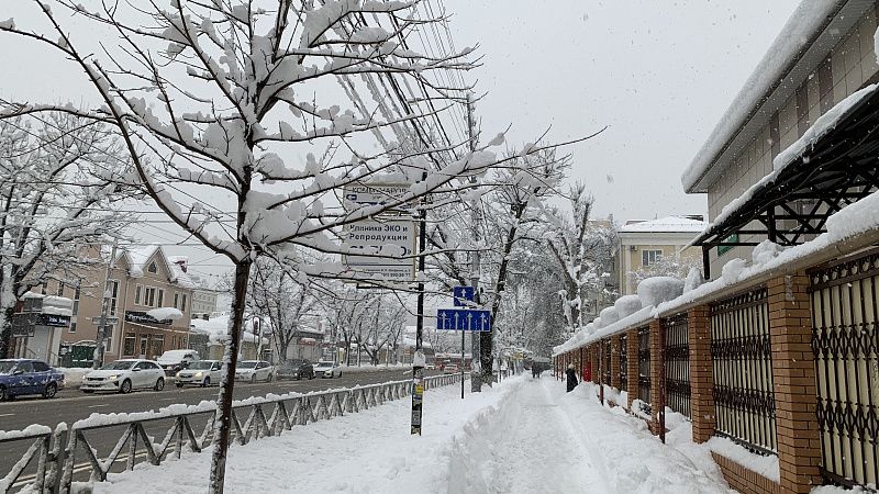 Метеоролог: неделя в Краснодаре будет непростая, с температурными качелями