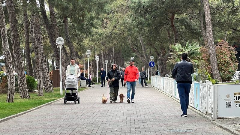 Блокадный хлеб и спектакль: в Геленджике вспомнят о блокаде Ленинграда