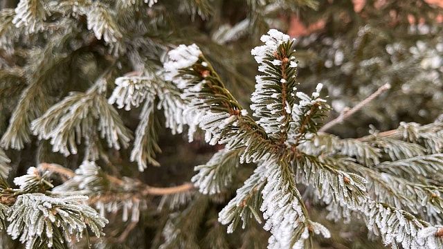 В Гидрометцентре предупредили о сильных морозах в нескольких регионах России