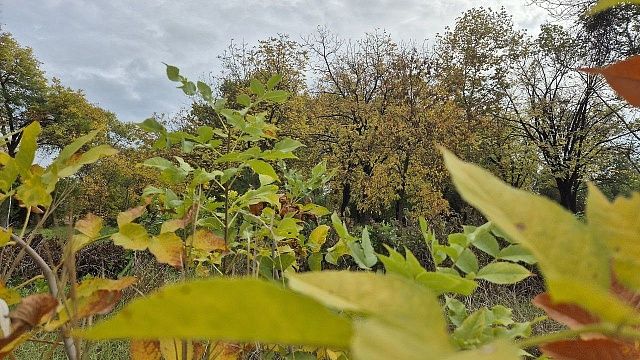 Фото: телеканал «Краснодар»