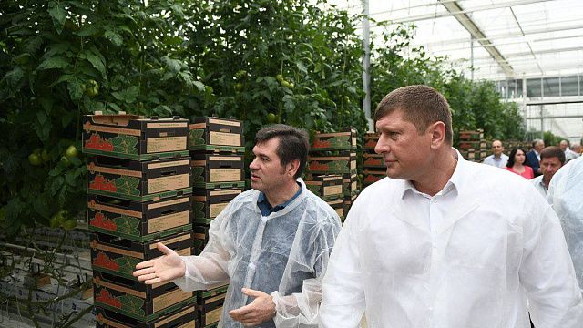 Власти Краснодара помогут агрокомбинату «Тепличный» улучшить логистику