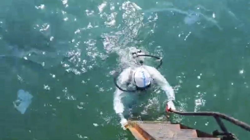 Водолазы подняли со дна моря более 250 мешков с мазутом 12 августа в Анапе