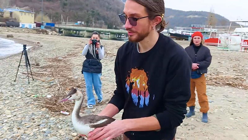 После реабилитации выпустили 12 птиц в Лермонтово Туапсинского района