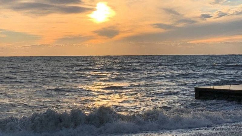 Экспериментальный модуль для локализации медуз опробуют в Азовском море