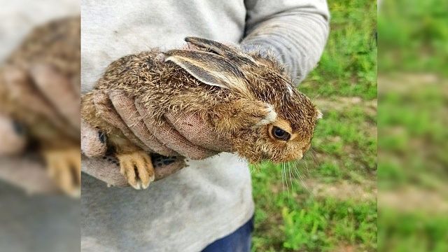 Фото: Фото: Александр и Вячеслав Яровые