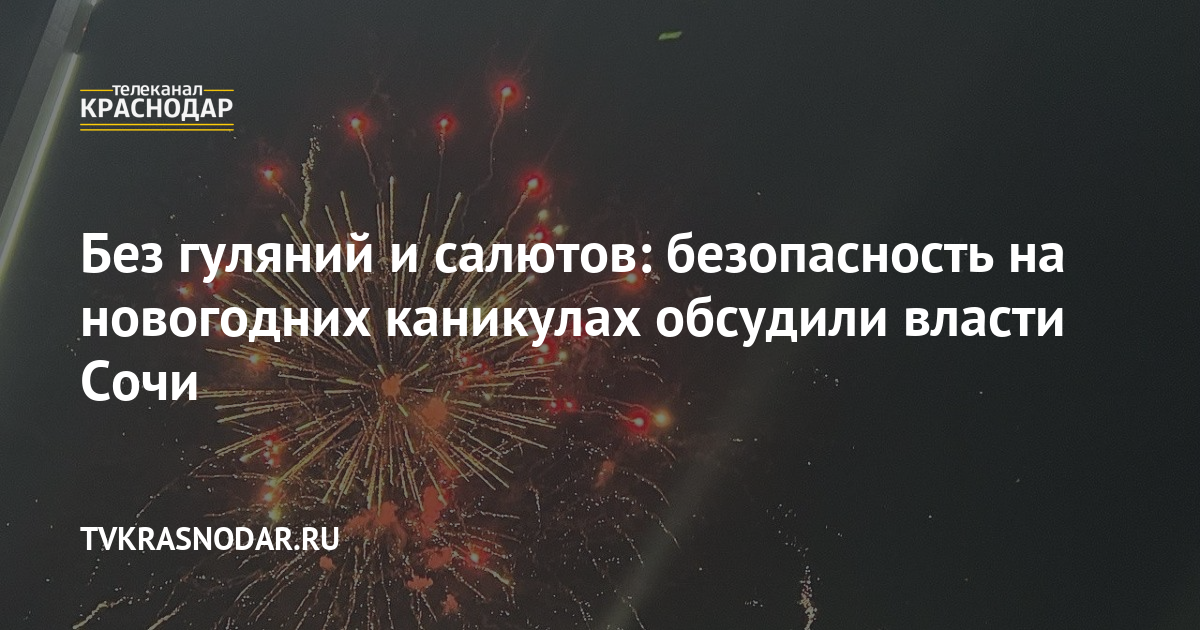 Без гуляний и салютов: безопасность на новогодних каникулах обсудили власти Сочи