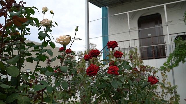 Фото: телеканал «Краснодар»