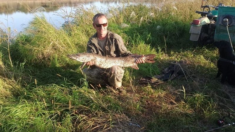 Рыбак вытащил из реки щуку весом более шести килограммов в Приморье