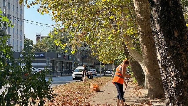 Элитный заработок стали получать дворники из Санкт-Петербурга