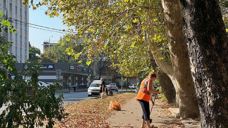 Элитный заработок стали получать дворники из Санкт-Петербурга