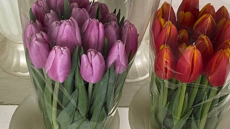 Более 10 протоколов выписали на уличных торговцев цветами в Геленджике