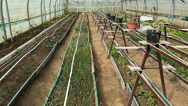 Фото: телеканал «Краснодар»