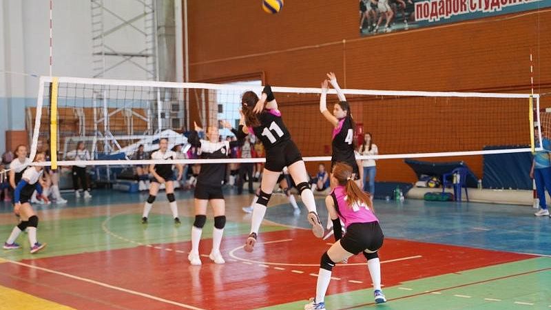 В Краснодаре пройдет волейбольный турнир на Кубок главы города