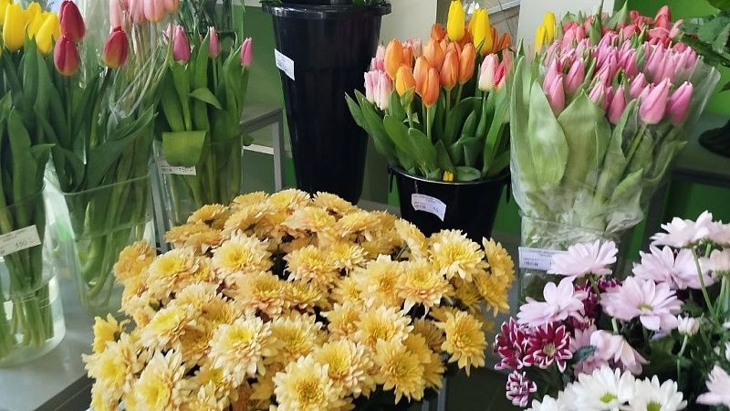 Праздничная цветочная ярмарка откроется 6 марта в Горячем Ключе