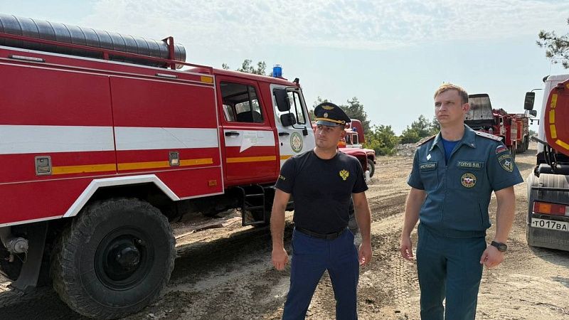 Прокуратура начала проверку по факту лесного пожара в Геленджике
