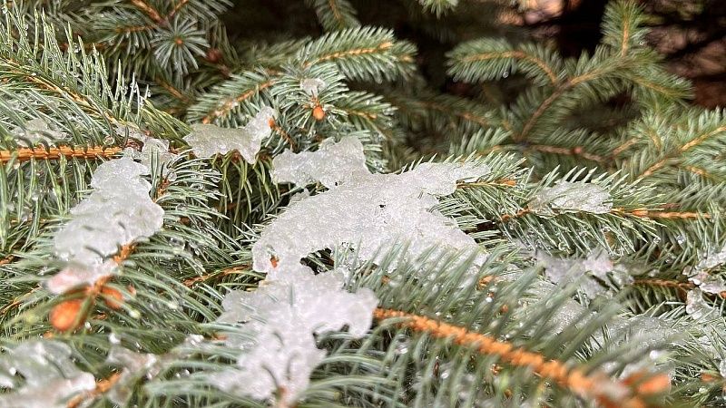 Гололёд, дожди и сильный ветер нагрянут в середине недели на Кубани