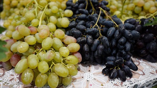 На ярмарки выходного дня в Краснодар привезли свежий урожай инжира, винограда и алычи