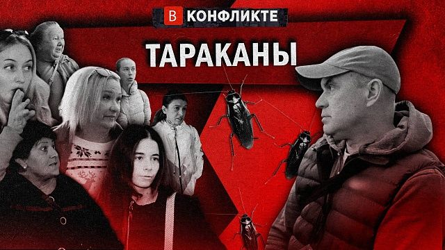 В конфликте - Тараканы