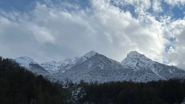 Фото: телеканал «Краснодар»