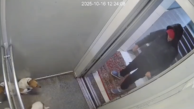 Фото: t.me/ENews112