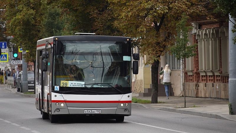 Школьник пожаловался Мизулиной на грубого водителя автобуса в Краснодаре