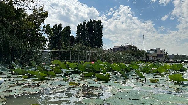 Холодный ветер и до +30 градусов ожидаются 7 сентября в Краснодаре