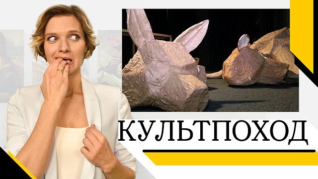 Известный режиссер Наталья Пахомова рассказала о новой постановке «Маугли» в Краснодаре