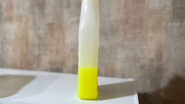 Фото: телеканал «Краснодар»