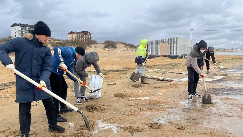 Орнитолог считает, что в загрязненном мазутом Черном море находятся тысячи птиц