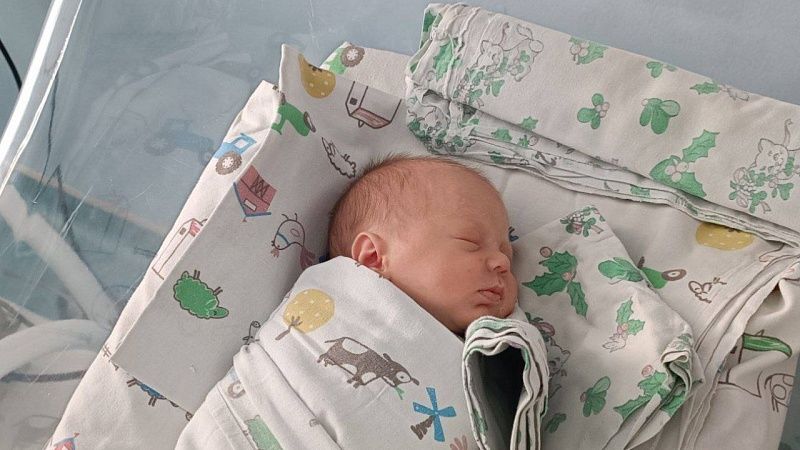 За прошедшие сутки на Кубани появились на свет 66 новорожденных