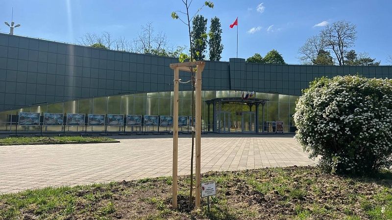 Десять лип в память о бойцах СВО высадили в парке 30-летия Победы в Краснодаре