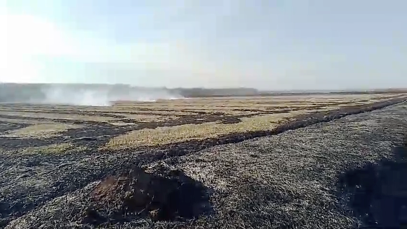 Дым в Краснодаре объяснили плановым сжиганием соломы на учебных полях КубГАУ