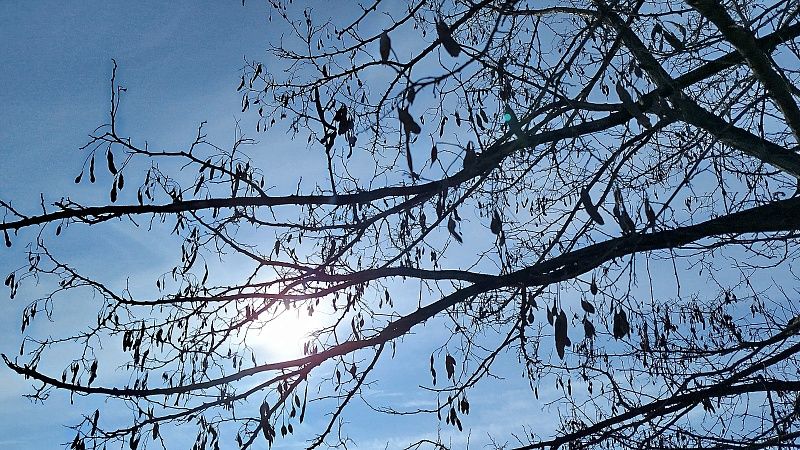 Серия взрывов прогремела над Курском и Курчатовым