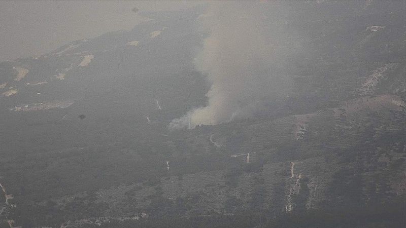 Минприроды опубликовало кадры с воздуха охваченного огнем леса в Геленджике