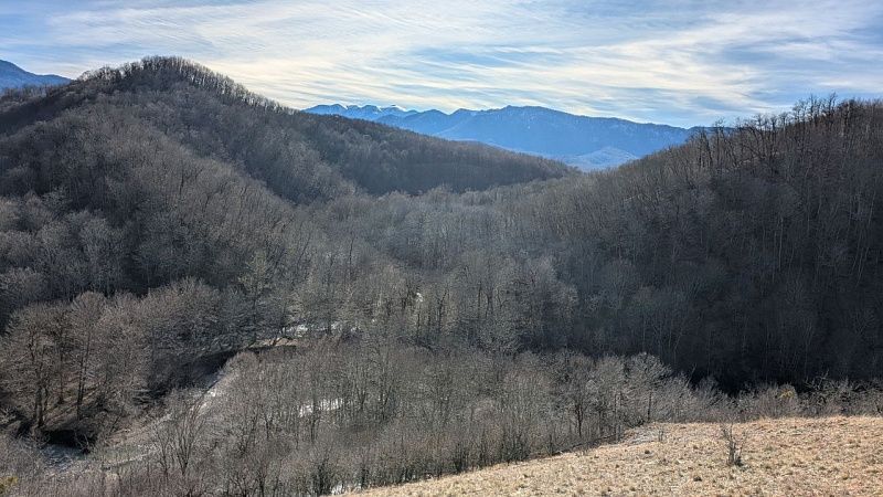 В 2025 году будут реализованы 12 новых национальных проектов на Кубани 