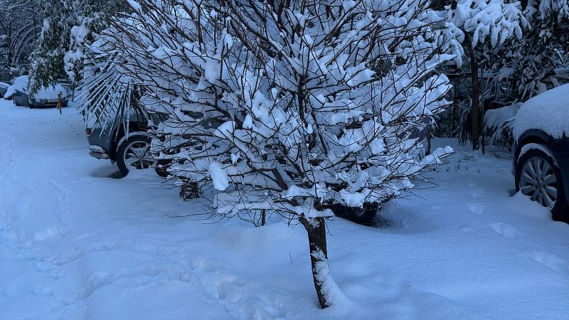 О последствиях обрушившегося на курорт сильнейшего снегопада рассказал мэр Сочи