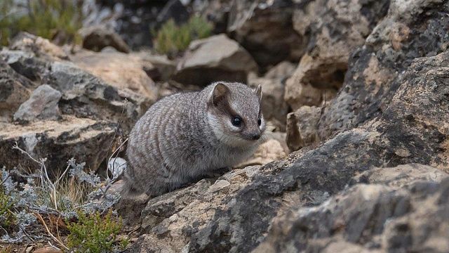 Изображение создано при помощи ИИ.