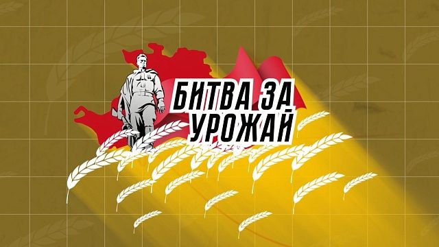 Битва за урожай на Кубани в годы Великой Отечественной войны. «Страна героев»
