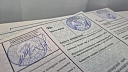 Около 590 тысяч человек досрочно проголосовали на выборах на Кубани
