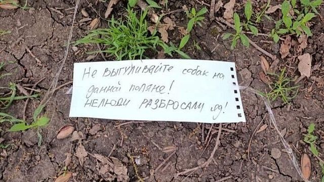 Догхантеры раскидали отраву для собак в нескольких районах Краснодара