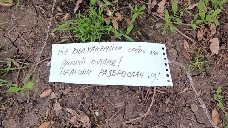 Догхантеры раскидали отраву для собак в нескольких районах Краснодара