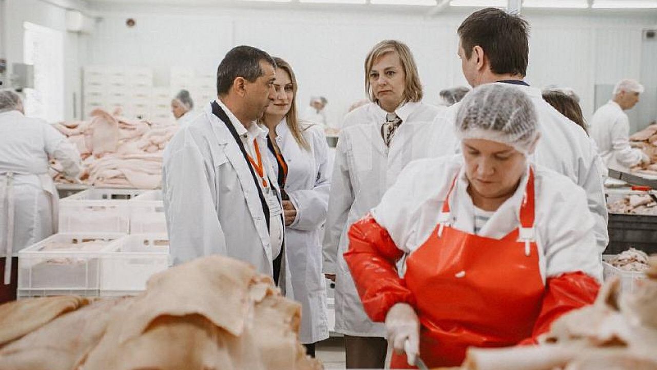 Национальный проект «Производительность труда» помог кубанскому мясокомбинату увеличить выработку на 30% Фото: пресс-служба администрации Краснодарского края