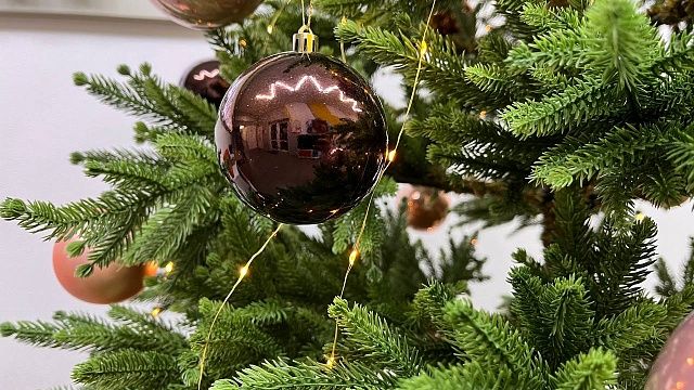 За порчу игрушек на новогодней елке задержали молодых людей в Тамбове