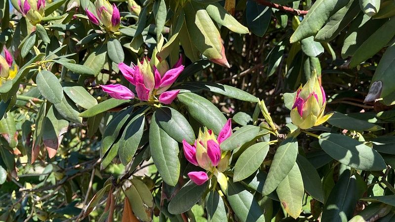 Потепление до +24 градусов и прохладный ветер ожидаются 7 мая в Краснодаре