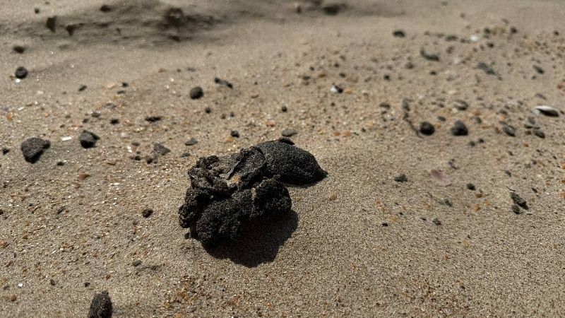 Новые незначительные выбросы мазута нашли на побережье Темрюкского района