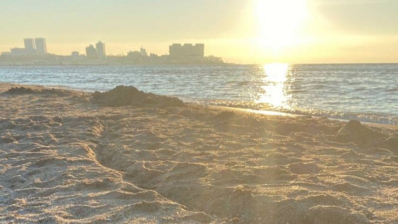 Роспотребнадзор до марта проверит санитарное состояние пляжей на Кубани